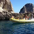 Capri Whales