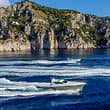 Capri Sea Service