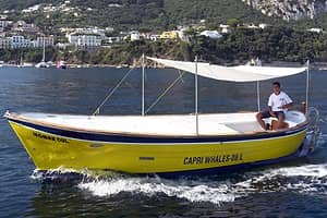 Capri 6-meter gozzo boat rental (no boating license required)