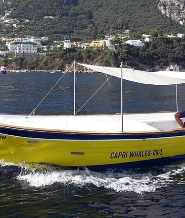 Capri, noleggio gozzo di 6 metri, senza patente nautica