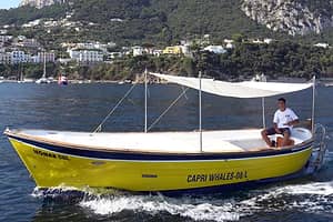Noleggio gozzo di 6 mt a Capri (senza patente nautica)