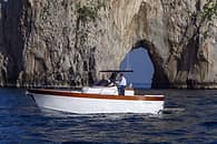 Tour privato in barca a Ischia e/o Procida (8 ore)