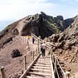Private Herculanuem + Mt. Vesuvius Tour Driver + Guide 