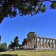 Private & guided Temples of Paestum Tour from Sorrento