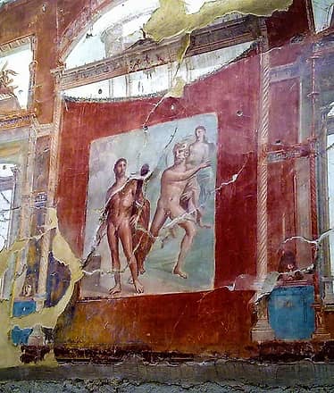 Herculaneum Private Tour 4h- from Sorrento Driver+Guide