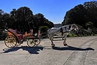 Royal Palace of Caserta  from Sorrento - Driver+Guide