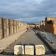Pompei, Vesuvio e degustazione: tour privato