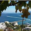 Passeggiando nella storia di Capri: tour guidato e vino