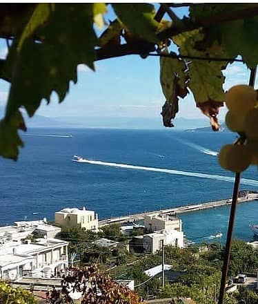 Passeggiando nella storia di Capri: tour guidato e vino