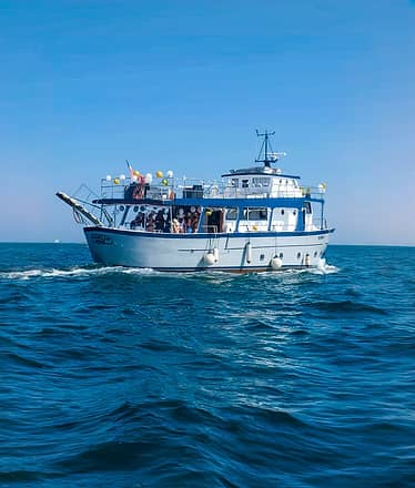 Tour in barca di Procida e Ischia, con pranzo a bordo