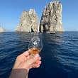 Giro dell'isola di Capri in barca privata