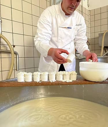 Mozzarella Experience +Cagliata Class: cheesemaking workshop