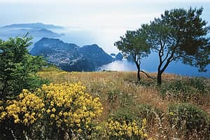 Capri: dalla Scala Fenicia a Monte Solaro, tour privato