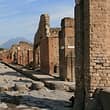 Pompeii and Herculaneum - Private Half-Day Tour