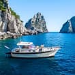 Private water taxi to or from Capri with tour included!