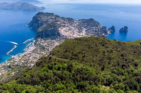 Piante e animali di Capri