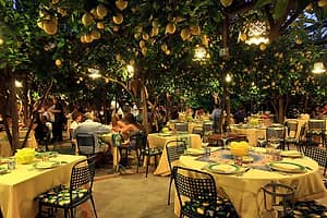 Dining Under a Canopy of Lemons