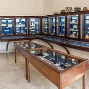 Museo Ignazio Cerio